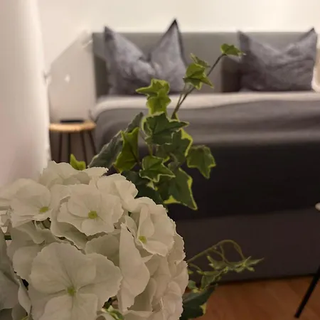 Apartamento Bolberg Rückzugsort, Yoga-zimmer, Büro, Hobbyküche Tübingen